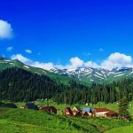 „ამერიკაში კოვიდის კუთხით ვერ არის საქმე კარგად …“ | შენი სოფელი