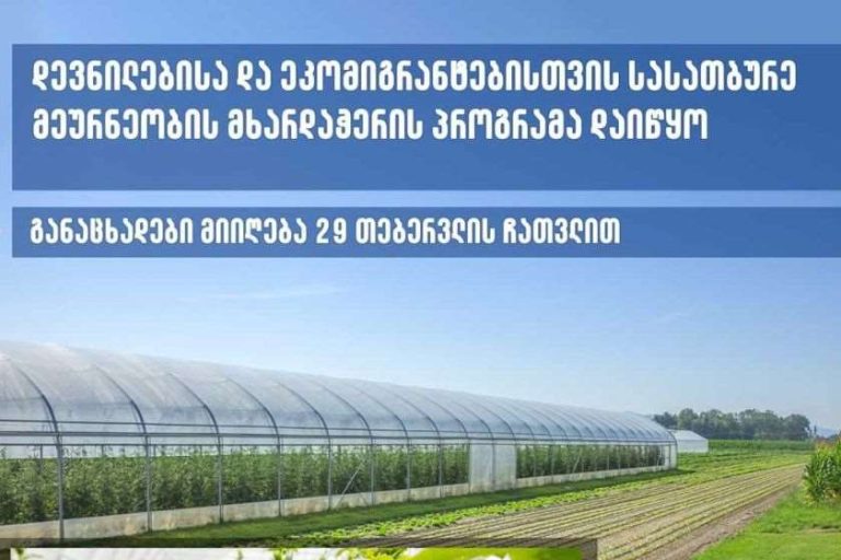 დევნილებისა და ეკომიგრანტებისთვის სასათბურე მეურნეობის მხარდაჭერის პროგრამა დაიწყო