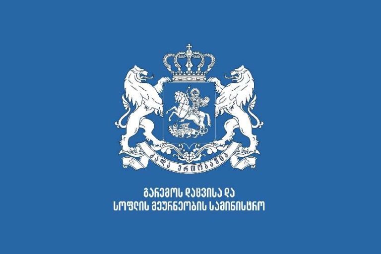 სამინისტრო 2013 წლამდე გამოშვებული ავტომობილების საქართველოში იმპორტის წესებთან დაკავშირებით განცხადებას ავრცელებს