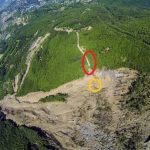 თეთრყვავილას ბოლქვის მოპოვებისთვის 5-წლიანი ლიცენზია გაიცა | შენი სოფელი