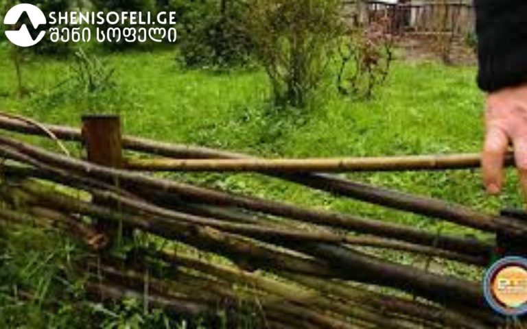 ჩიხა – დიდი ისტორიის მქონე სოფელი, უძველესი ციხე-გალავნების ნაშთებითა და ტაძრებით