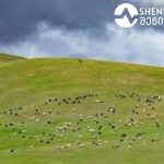 თბილისის საზაფხულო საბავშვო ბაღებში რეგისტრაცია დღეს | შენი სოფელი