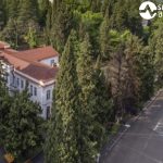საქპატენტი გეოგრაფიული აღნიშვნა „მაწონის“ შესახებ სტატიას | შენი სოფელი