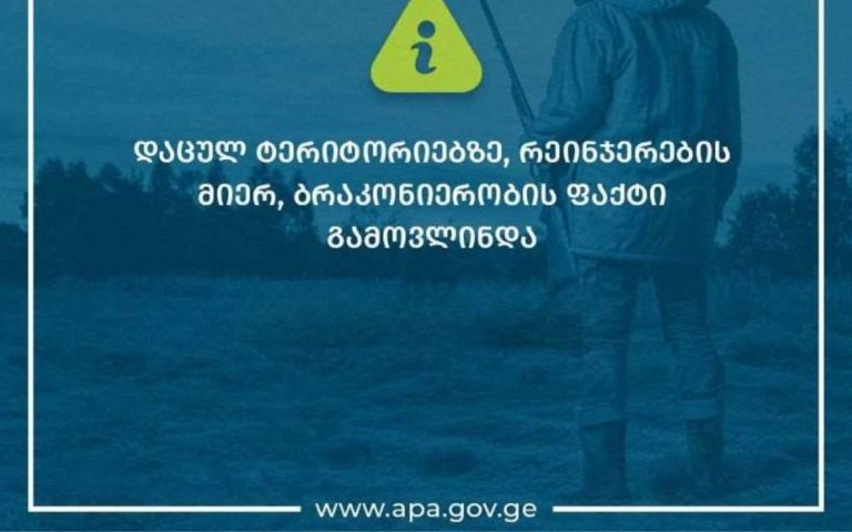 მარტვილისა და ოკაცეს ბუნების ძეგლების ადმინისტრაციის რეინჯერებმა ბალდის კანიონის ბუნების ძეგლზე ბრაკონიერობის ფაქტი გამოავლინეს