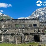 რა უნდა ვიცოდეთ თხილის კულტურის გაშენებისას | შენი სოფელი
