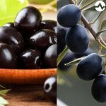უგემრიელესი ერბოს ქადის ტრადიციული რეცეპტი | შენი სოფელი