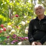 მეცნიერებმა შექმნეს ანტიბიოტიკების ახალი კლასი | შენი სოფელი