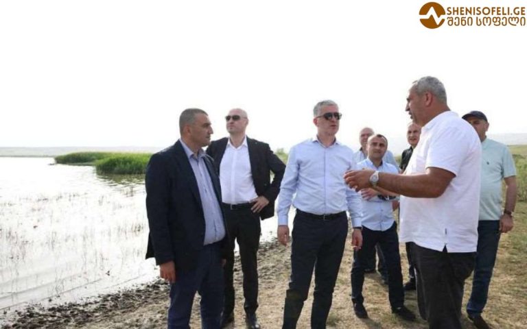 განხორციელებული სამუშაოების შედეგად, ტბაში წყლის დონემ მოიმატა და ეკოლოგიური მდგომარეობა მნიშვნელოვნად გაუმჯობესდა