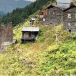ზოდი – სამეფო სოფელი ჭიათურის მუნიციპალიტეტში სამკურნალო მცენარეები ზოდის სოფლის ბუნებრივ გარემოში ზემო იმერეთის პლატოზე