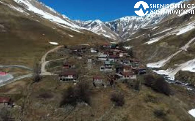 როგორ უზრუნველყოს ზამთრის მომზადება დიდთოვლიან რეგიონებში – სოფელ წკერის გამოცდილება