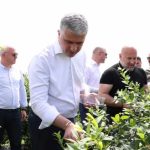 გომბორის გზის რეაბილიტაცია შემოდგომაზე დასრულდება | შენი სოფელი