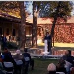 🌿 ხახვის ნაფცქვენისა და შავი ჩაის ნაყენი მცენარეების | შენი სოფელი