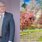 ბუნება — ყველაზე ძლიერი „მედიცინა“, რომელსაც უგულებელვყოფთ ბუნებაში უნდა გაატაროთ მინიმუმ 20 წუთი ყოველდღიურად