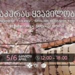 "ჩემი გზავნილი სასამართლომდე მივიტანე. ჩემი გზავნილი იყო ის | შენი სოფელი