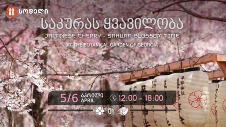 საქართველოს ეროვნულ ბოტანიკურ ბაღში „საკურას ყვავილობის დღეები“ გაიმართება