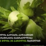 29-30 მარტს საქართველოს ზოგიერთ | შენი სოფელი