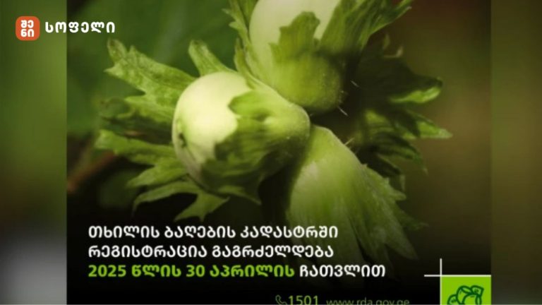 თხილის წარმოების ხელშეწყობის პროგრამის ფარგლებში, თხილის კადასტრში ბაღების რეგისტრაციის ვადა 30 აპრილის ჩათვლით გაგრძელდა
