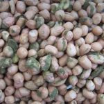 აფლატოქსინები (განსაკუთრებით აფლატოქსინ B1, B2, G1 და G2) ხშირად გვხვდება თხილეულში, მათ შორის თხილში, მიწის თხილში, ნუშში, პეკანში,ნიგოზში აფლატოქსინები (განსაკუთრებით აფლატოქსინ B1, B2, G1 და G2) ხშირად გვხვდება თხილეულში, მათ შორის თხილში, მიწის თხილში, ნუშში, პეკანში,ნიგოზში.