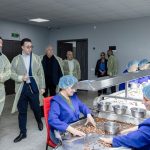 ქართული ვაზის ჯიშები, რომლებიც გადაშენების პირასაა და არ | შენი სოფელი