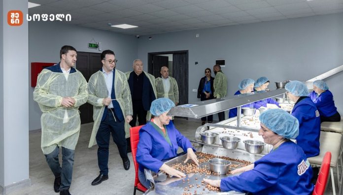 დავით სონღულაშვილი ზუგდიდში, თხილის გადამმუშავებელ საწარმოში იმყოფებოდა