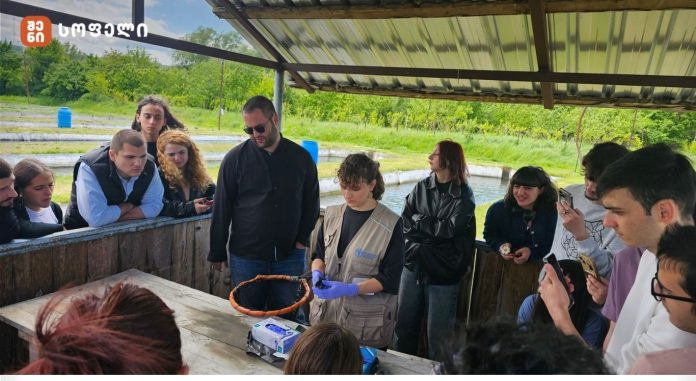 “ტრენინგების მიზანია საქართველოს ვეტერინარიის პროფესიონალებში ფერმის ცხოველთა ვეტერინარიის მიმართ ინტერესის გაზრდა, მათი იმ ცოდნითა და გამოცდილებით აღჭურვა,