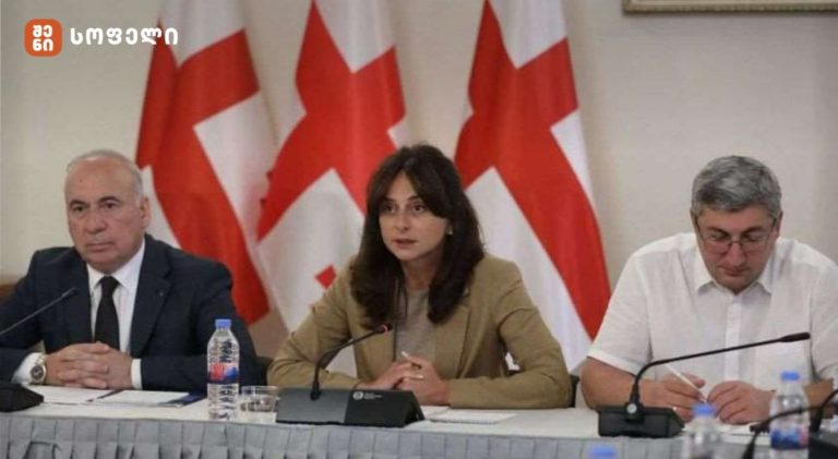 გამოიკვეთა მთელი რიგი საკითხები, რაც საჭიროებს კოორდინირებულ მუშაობას, რათა მომავალში სპეციფიკური ნარჩენების დამუშავების ხელშეწყობისათვის ეფექტიანი ნაბიჯები იქნას გადადგმული