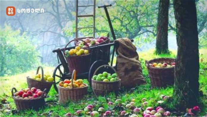 სექტემბერი - მობრძანდა მადლიანი შემოდგომა ხვავით, ბარაქითა და მოსავლის დასაბინა­ვებ­­ლად სა­უკეთესო ამინდით.