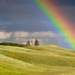 „ეს ბოლო ღამე იყო ტყეში გათენებული. წვიმდა. ხის ძირში | შენი სოფელი