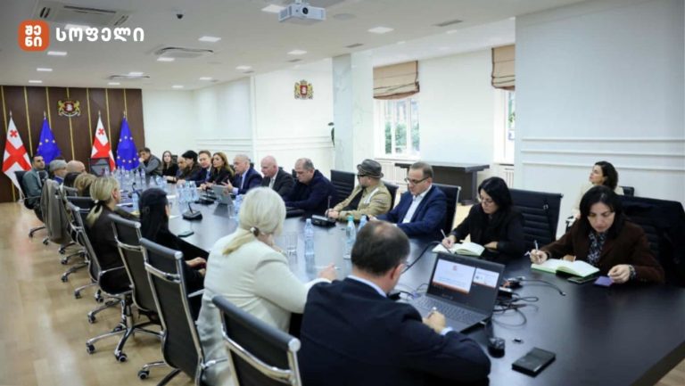 სურსათთან შემხებლობაში მყოფი ერთჯერადი გამოყენების პლასტიკის მოხმარების რეგულირების საკითხებზე ბიზნესსექტორის წარმომადგენლებთან სამუშაო შეხვედრა გაიმართა