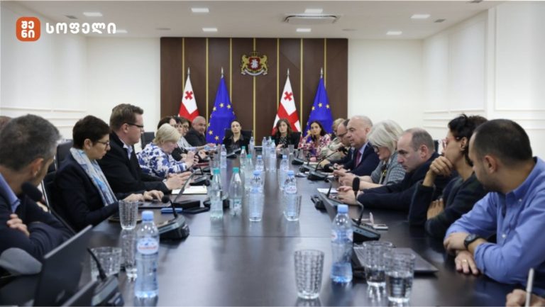 საქართველოსთვის, როგორც კანდიდატის სტატუსის მქონე ქვეყნისთვის, ერთ-ერთი რეკომენდაცია ქვეყანაში ჩამდინარე წყლების გაწმენდის შედეგად საკანალიზაციო ლამების რეგულირებაა