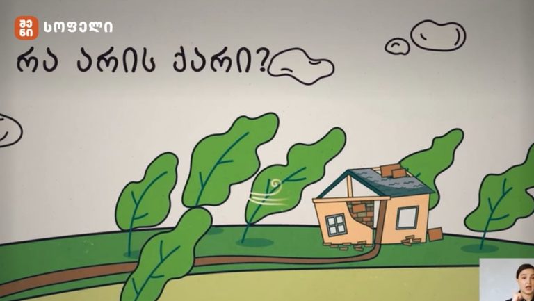 გაეცანით რეკომენდაციებს, როგორ ვიქცევით ძლიერი ქარის დროს
