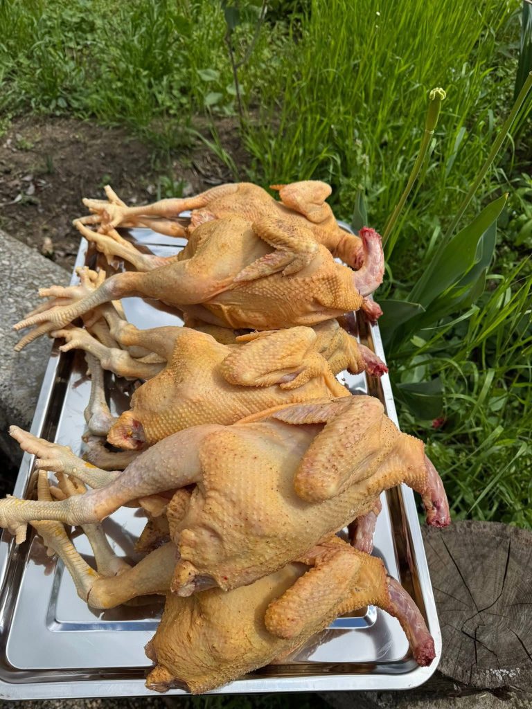 503340166_24142409772032667_172886577583539344_n | შენი სოფელი დავით ხომასურიძე ლონდონიდან ჩამოვიდა და მეფრინველეობის მეურნეობა დაიწყო – ასეთ გემრიელ და ჯანსაღ ქათამს ვერსად იპოვით, მისი ანალოგი საქართველოში ძნელად მოიძებნება | შენი სოფელი