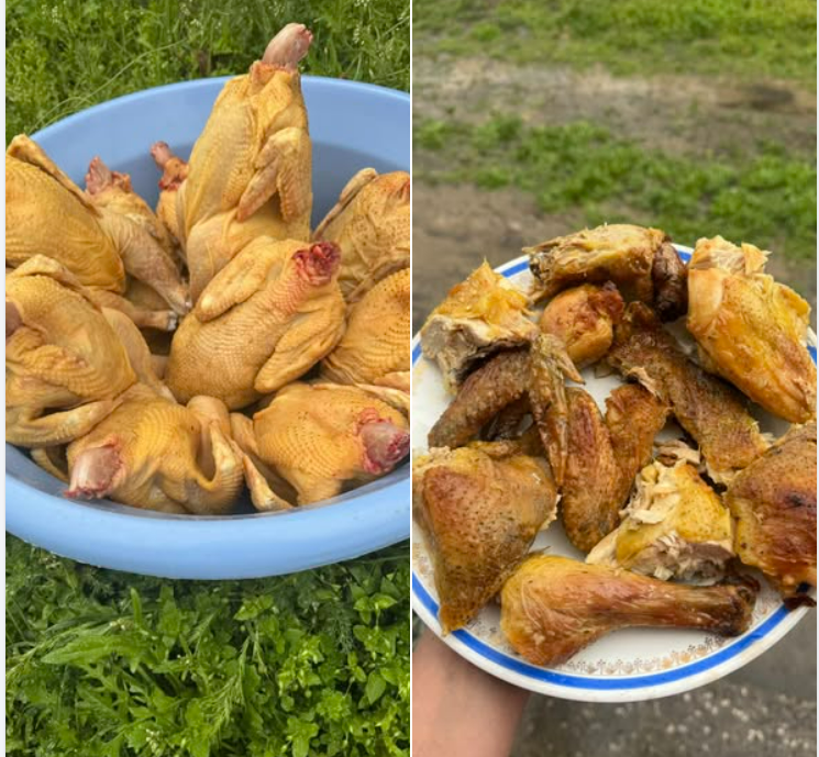 Screenshot 2025-10-29 132514 | შენი სოფელი დავით ხომასურიძე ლონდონიდან ჩამოვიდა და მეფრინველეობის მეურნეობა დაიწყო – ასეთ გემრიელ და ჯანსაღ ქათამს ვერსად იპოვით, მისი ანალოგი საქართველოში ძნელად მოიძებნება | შენი სოფელი