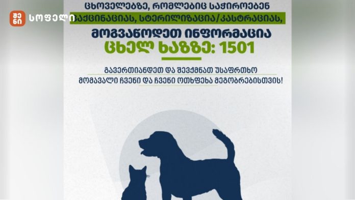 მიუსაფარი და მიკედლებული ცხოველების პოპულაციის მართვის საპილოტე პროგრამის ფარგლებში, 29 ივლისიდან 15 ოქტომბრის ჩათვლით, აჭარის, იმერეთის, კახეთის რეგიონებში, სპეციალური ეკიპაჟების მიერ თავშესაფრებში გადაყვანილია 3761 ცხოველი