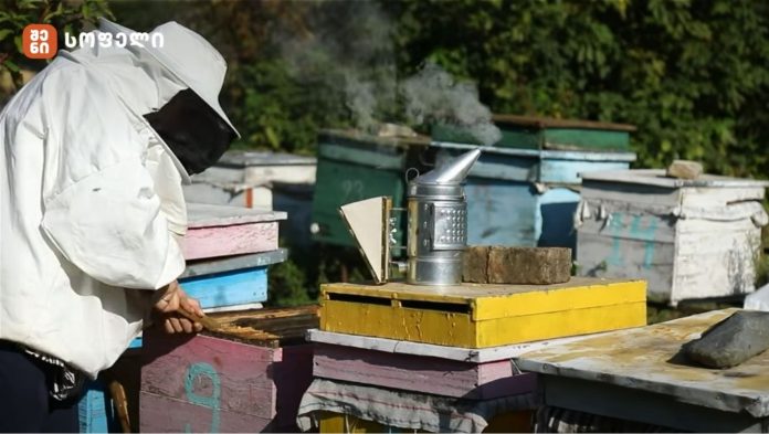 50 წლის ასაკში შესწავლილი ახალი პროფესია მეფუტკრეობა - მეურნეობა და ტბაზე შექმნილი ხელოვნური კუნძული