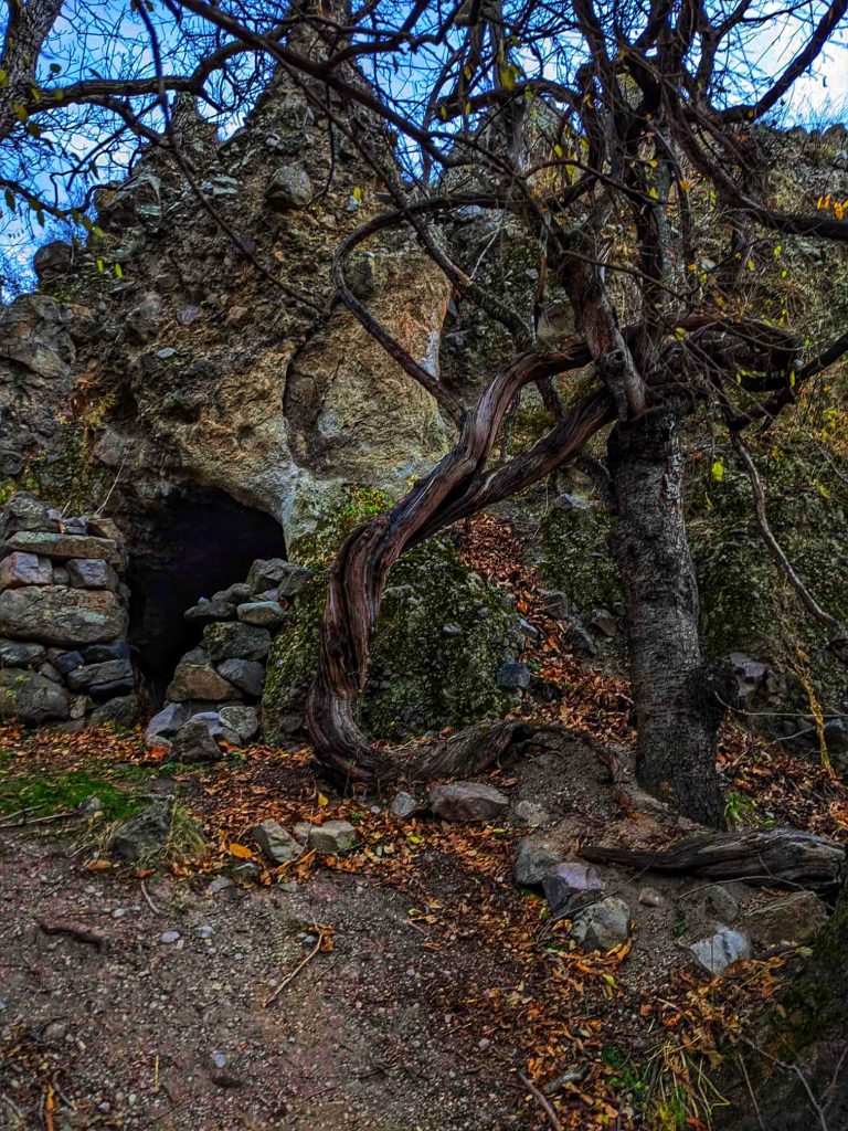 მარნები სოფელ ჭაჭკარიდან – სოფელში, გარდა დაზიანებული ტერასებისა და 50–მდე კლდეში ნაკვეთი საწნახელისა, შემორჩენილია ოთხსაუკუნოვანი ვაზიც | შენი სოფელი