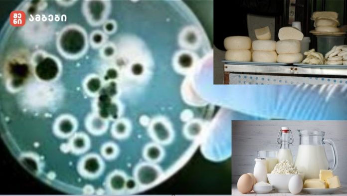 ბრუცელოზი თბილისში – „მამიდაჩემს, სისუფთავესა და ნატურალურ კვებაზე გადარეულ ქალს, დაუდასტურდა ბრუცელოზი, ეჭვი გვაქვს, კუმისიდან ჩამოტანილ ჭყინტ ყველს რომ მიირთმევდა, ესაა მიზეზი“