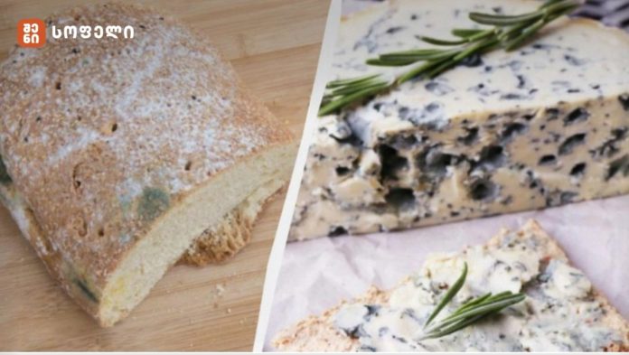 ობიანი საკვების მოხმარების წესები და საფრთხეები - ტოქსიკოლოგის განმარტება