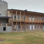 როგორ გამოვიყენოთ სიმინდის ფქვილი სხვადასხვა მცენარისთვის 🌸 | შენი სოფელი
