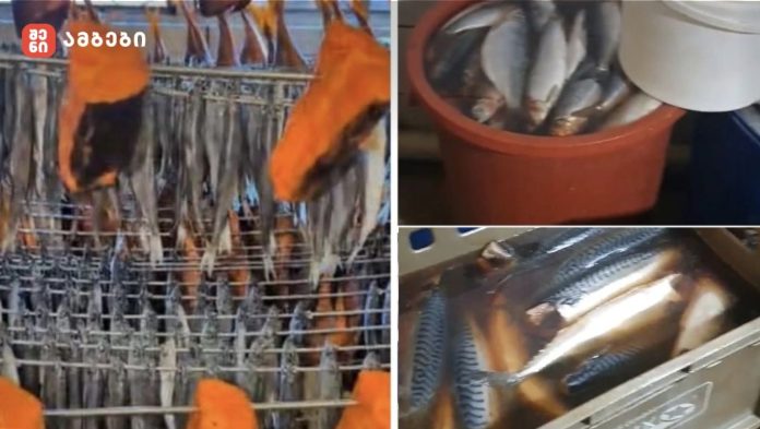 კრიტიკული შეუსაბამობები გამოვლინდა – სურსათის ეროვნული სააგენტო თევზის საწარმოებს ამოწმებს