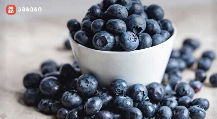 მოცვის მოვლის მოკლე გზამკვლევი 🌿