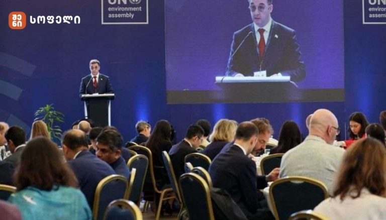 „მსოფლიო ელოდება ამბიციურ და პრაქტიკულ საერთაშორისო ხელშეკრულებას პლასტმასით დაბინძურების პრობლემის გადასაჭრელად – საქართველო, როგორც ევროკავშირის წევრობის კანდიდატი ქვეყანა, მზად არის ეროვნული გარემოსდაცვითი სტანდარტების ევროპულ მოთხოვნებთან შესაბამისობაში მოსაყვანად“ – დავით სონღულაშვილი