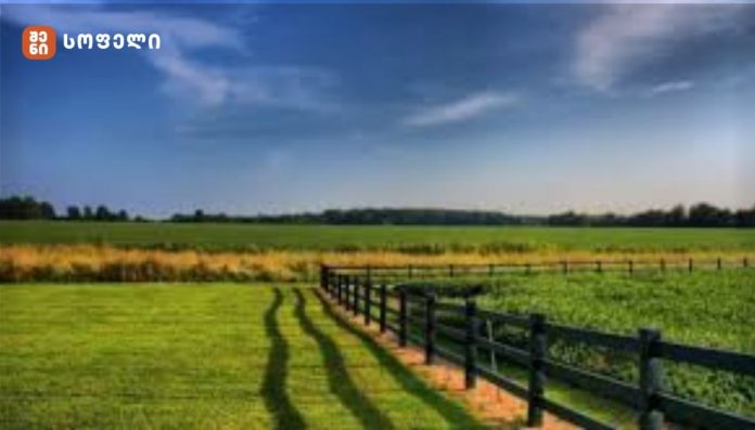 მიწის კონსოლიდაციის პროექტის ფარგლებში, მიწის მდგრადი მართვისა და მიწათსარგებლობის მონიტორინგის ეროვნულ სააგენტოში სამუშაო შეხვედრა გაიმართა