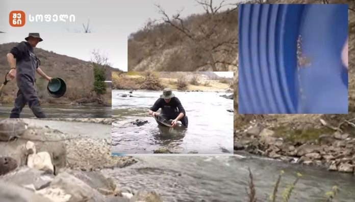 ოქროს მაძიებლები! ოქროს საბადოებად ქცეული წყლები! - სად და როგორ ეძებენ ოქროს საქართველოში.