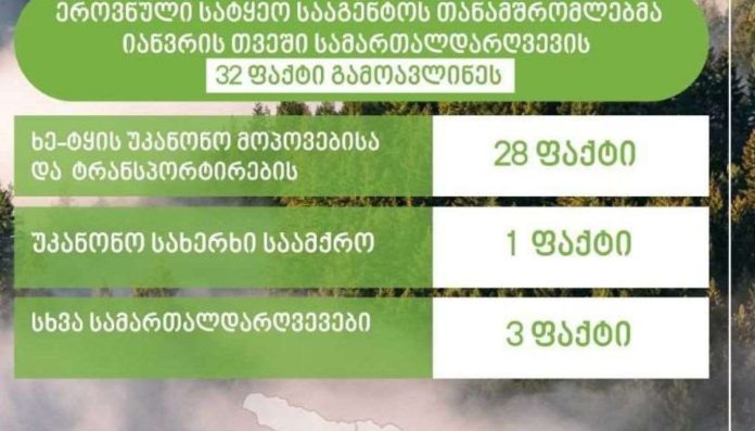 ეროვნული სატყეო სააგენტოს თანამშრომლებმა, მიმდინარე წლის იანვარში სამართალდარღვევის 32 ფაქტი გამოავლინეს