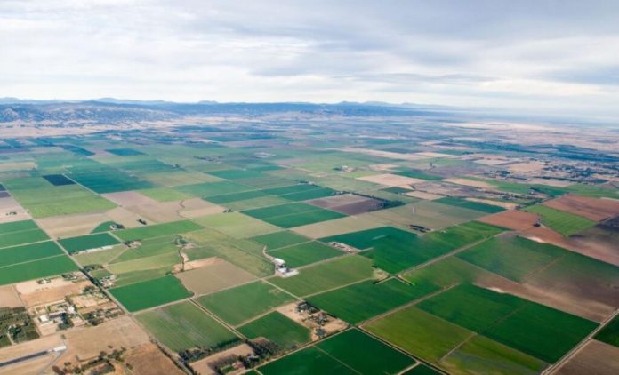20-წლიანი ინტერვალის შემდეგ, საქართველოში მიწის რესურსების მონაცემთა ერთიანი ბაზა შეიქმნა
