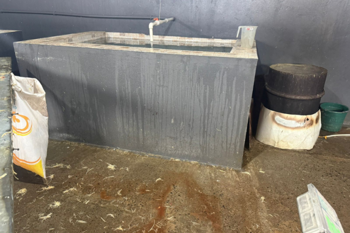 სურსათის ეროვნულმა სააგენტომ გორში ფრინველთა არალეგალური სასაკლაო გამოავლინა