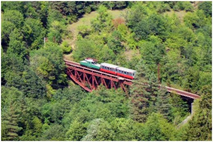 ბორჯომ-ბაკურიანის ისტორიულ მატარებელს, ე.წ. კუკუშკას სრული რეაბილიტაცია ჩაუტარდება