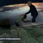 გარემოსდაცვითი ზედამხედველობის დეპარტამენტმა, ბრაკონიერობასთან ბრძოლის ფარგლებში, ქვეყნის მასშტაბით პრევენციული ღონისძიებები გაატარა გარემოსდაცვითი ზედამხედველობის დეპარტამენტმა, ბრაკონიერობასთან ბრძოლის ფარგლებში, ქვეყნის მასშტაბით პრევენციული ღონისძიებები გაატარა