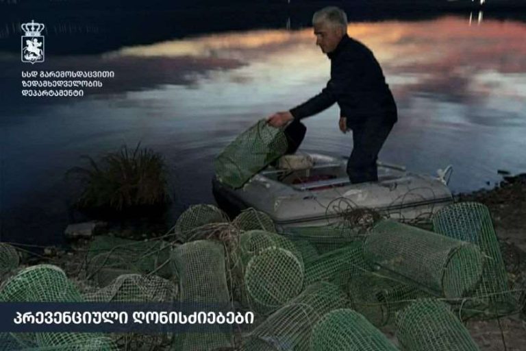 გარემოსდაცვითი ზედამხედველობის დეპარტამენტმა, ბრაკონიერობასთან ბრძოლის ფარგლებში, ქვეყნის მასშტაბით პრევენციული ღონისძიებები გაატარა